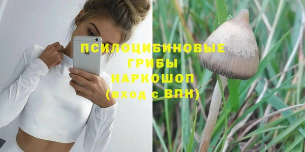 ECSTASY Коряжма