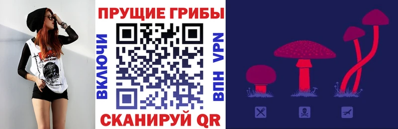 Галлюциногенные грибы Psilocybine cubensis  Топки 