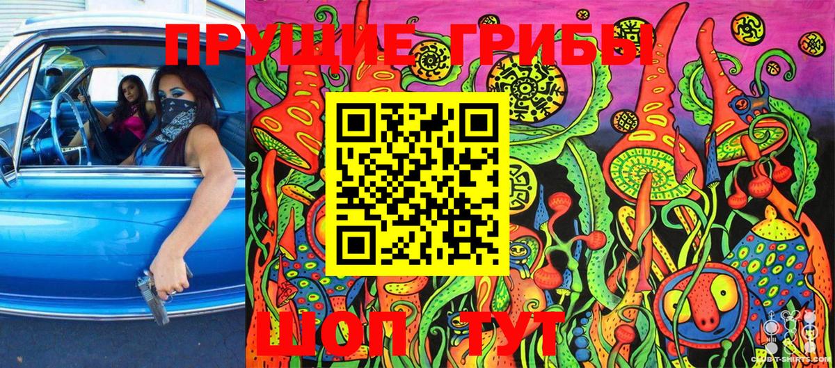 Псилоцибиновые грибы Cubensis  Топки  Галлюциногенные грибы MAGIC MUSHROOMS 