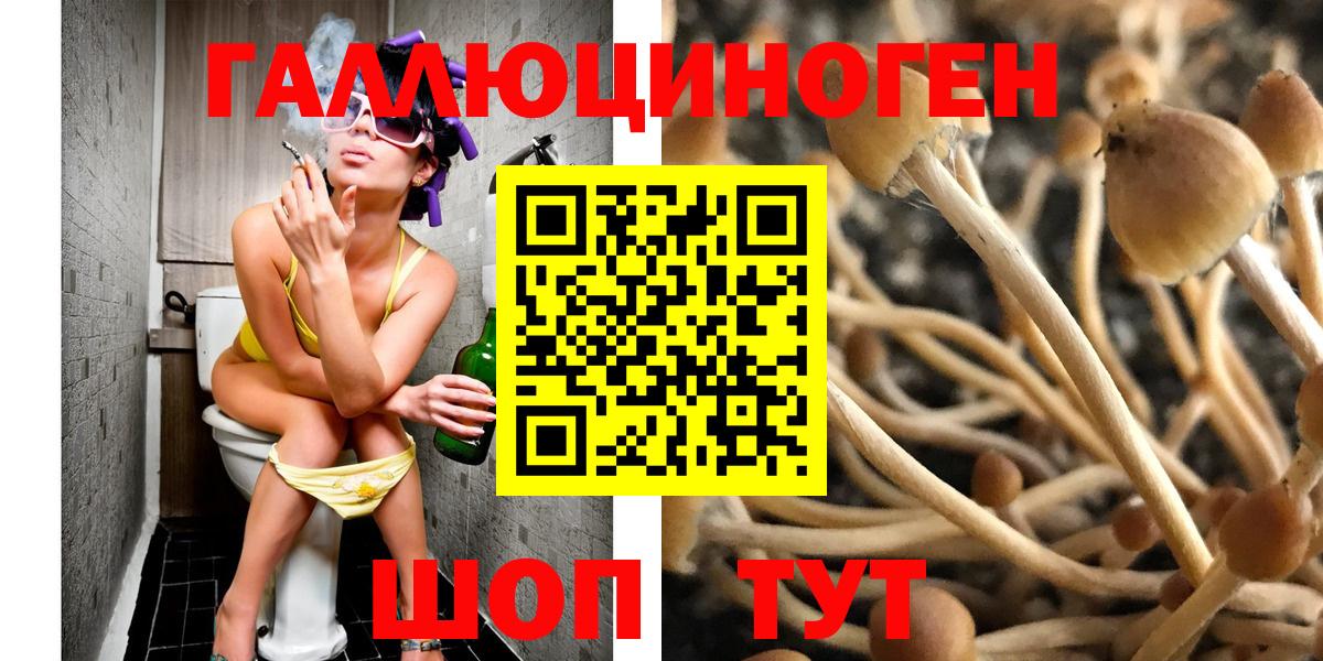 Псилоцибиновые грибы GOLDEN TEACHER  Вход с VPN  купить   Топки 